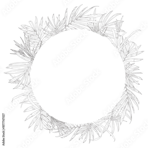 Palm leaves on a round frame, black and white sketch. Vector illustration. Tropical tree leaves isolated on white background. Green lush wildlife plants and fresh jungle foliage.