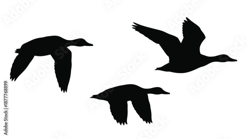 Three black silhouettes of ducks in flight on a white background