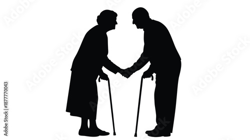 An elderly couple embracing holding hands with walking support