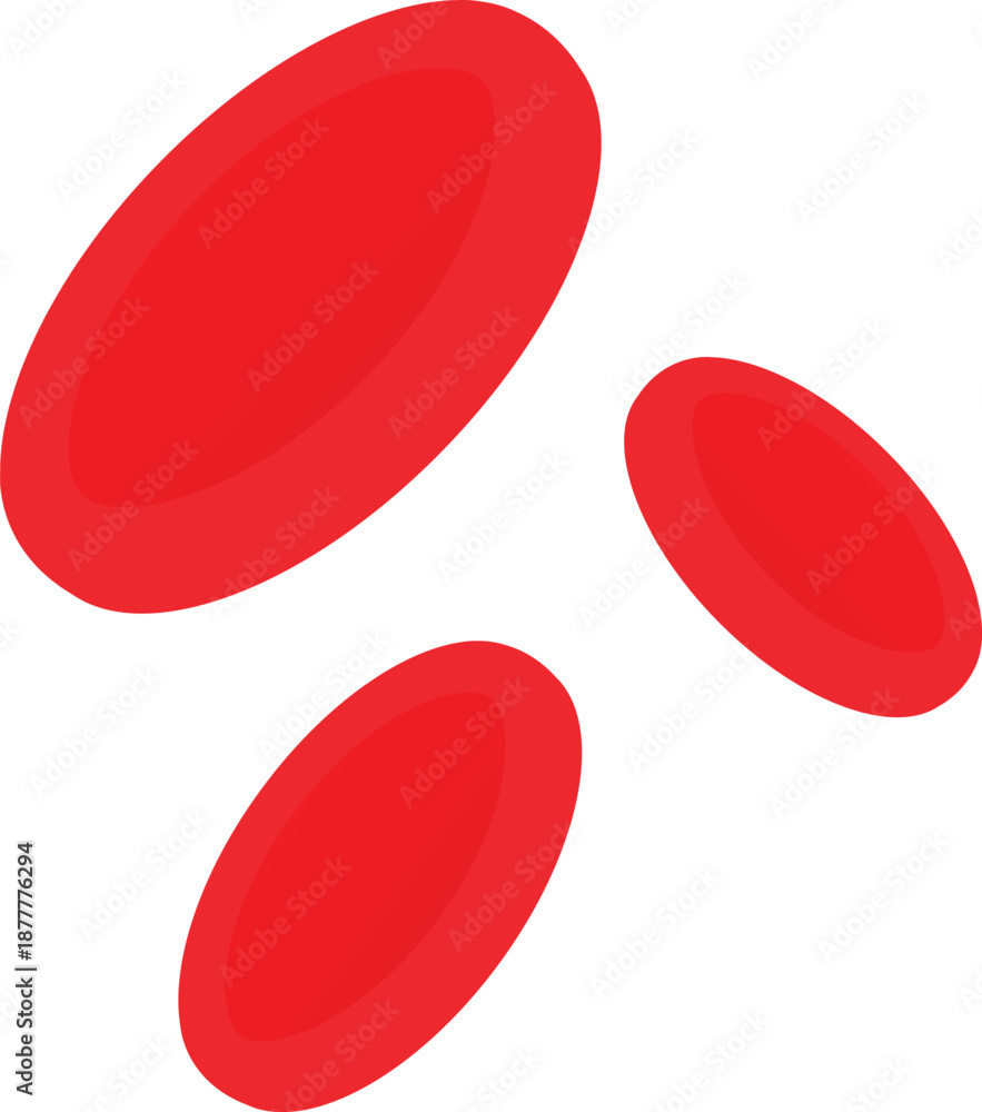 Fotografie Red Blood Cells Flat Illustration