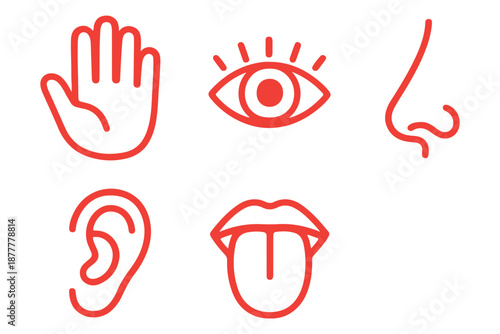 Human senses icon set. Vision eye, smell nose, hearing ear, touch hand, taste mouth with tongue. Simple line icons in black. Five senses of human nervous system