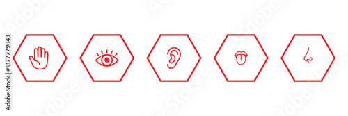 Human senses icon set. Vision eye, smell nose, hearing ear, touch hand, taste mouth with tongue. Simple line icons in black. Five senses of human nervous system