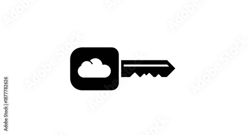 A black key with a cloud symbol on its head, representing cloud security or digital access.