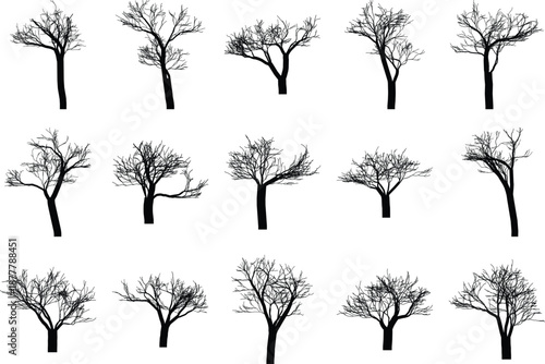Bare leafless winter tree silhouette collection isolated on white background for designers