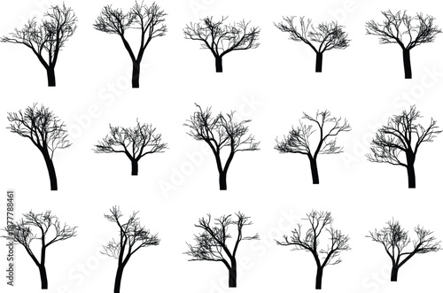 Leafless winter tree silhouette set isolated on white background for graphic and design projects
