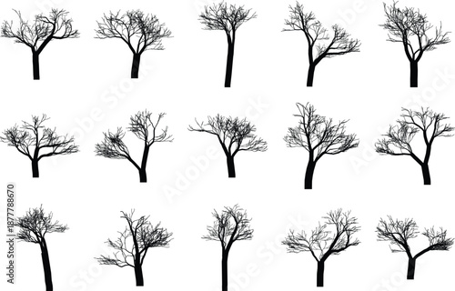 Collection of leafless tree silhouettes isolated on white background for nature design use