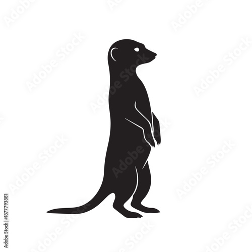 A black silhouette of a meerkat standing upright on a white background
