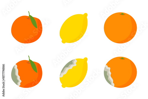 Fresh and moldy tangerines, oranges and lemons on white background.