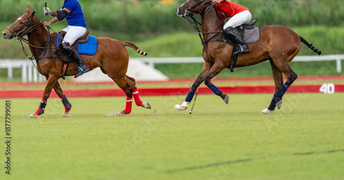 Two polo players on galloping horses compete for control of the ball on a green field, showcasing speed, skill, and intensity in an outdoor polo match.