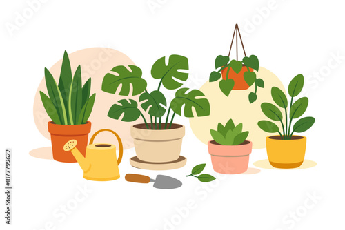 Collection of potted houseplants and gardening tools