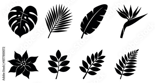 Silhouette tropical leaves and flowers set featuring monstera, palm, and banana leaves with a bird of paradise flower for summer designs