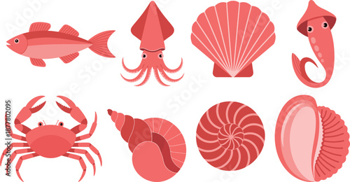 Vibrant pink ocean creatures and seashells illustrations
