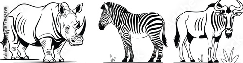 Wildlife illustrations of rhinoceros, zebra, and donkey in black and white