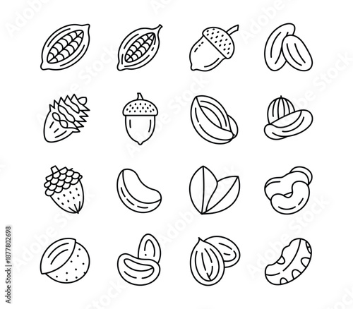 Variety of nuts and seeds in simple line art style