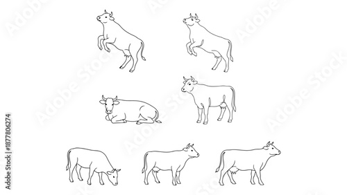 simple line arts of a cow in different poses on two legs, laying down, mowing and standing and staring vector silhouette illustrations