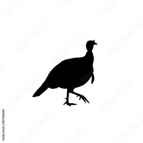 A black silhouette of a turkey walking with its head held high.