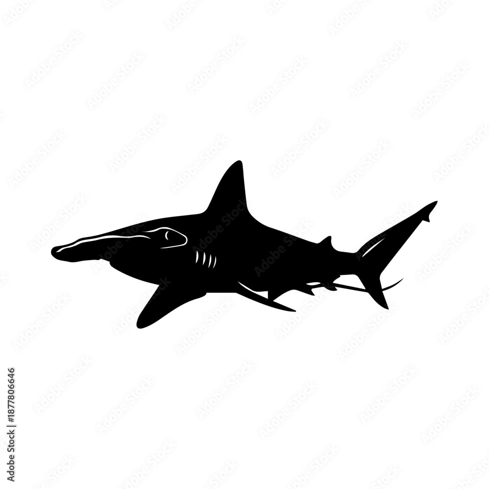 Fototapeta premium Silhouette of a Hammerhead Shark swimming in the ocean, a majestic marine predator.