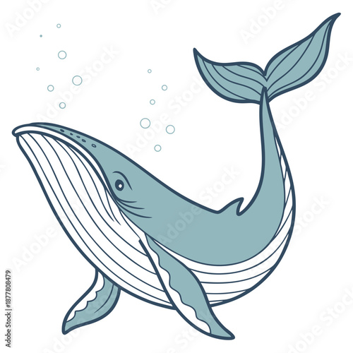 Cartoon humpback whale