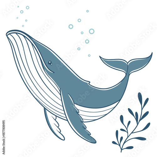Photography Illustrated humpback whale
