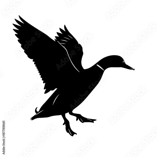 Black silhouette of a duck in flight with wings spread, preparing to land or take off.