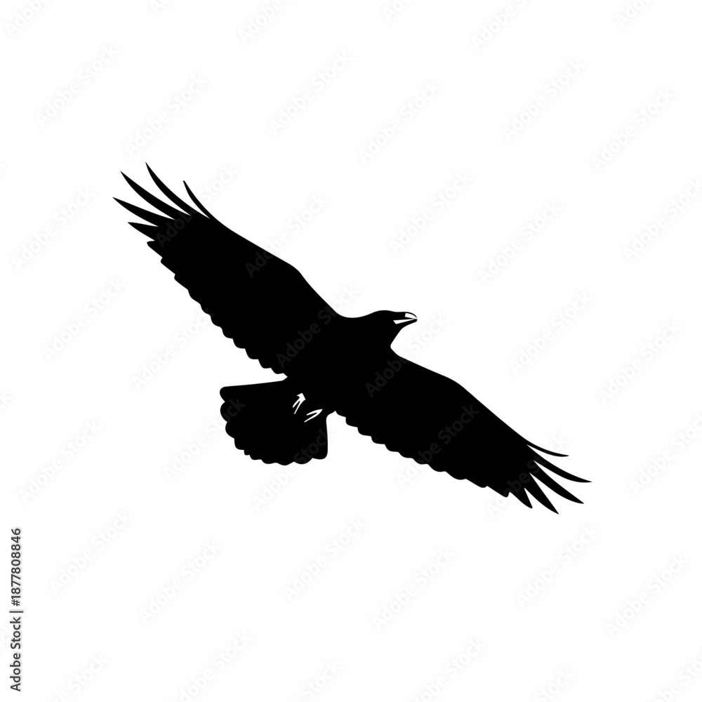 Obraz premium A striking black silhouette of an eagle in flight with wings spread against a white background.