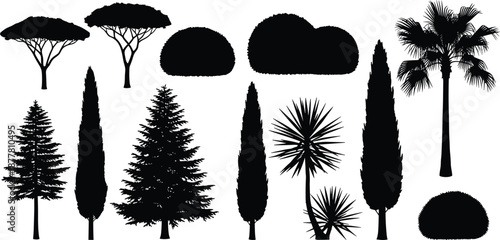 Tree silhouette set with pine palm cypress and cedar trees including bushes and shrubs on white background for landscape design nature and gardening environment concept
