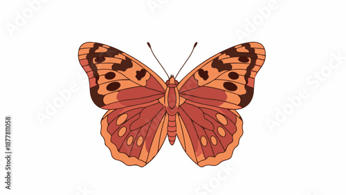 A top-down view of a detailed, orange and brown butterfly with intricate wing patterns and segmented antennae
