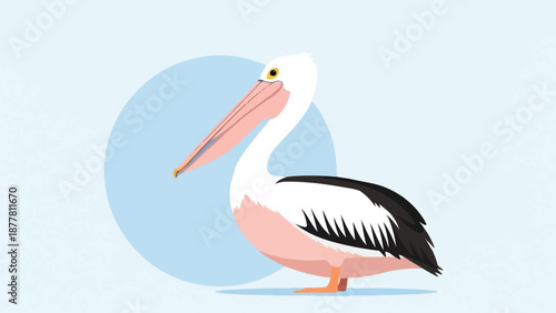 A stylized pelican with pink and white feathers stands against a light blue circle on a pale blue background