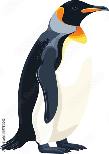 A cute cartoon vector illustration of a white and black penguin bird on the rocks at a blue winter beach in Antarctica wildlife nature isolated on a cold snow background