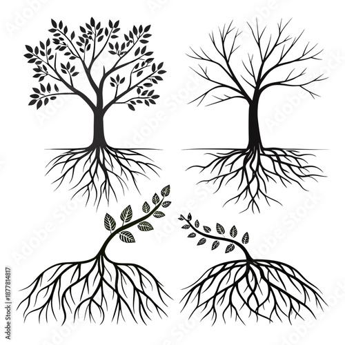 Tree silhouettes with roots