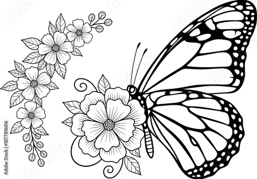 Wallpaper Mural Butterfly on flower line art with floral branch, monarch butterfly wings coloring book page for adults, garden nature vector illustration Torontodigital.ca
