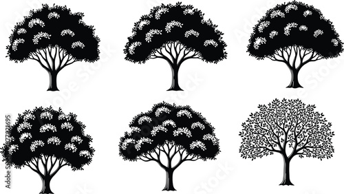 Collection of deciduous tree silhouettes with leaves and branches isolated on white background for cad drawing flat vector illustration set