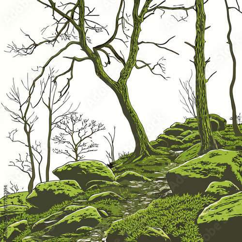 Green moss covering forest rocks and trees