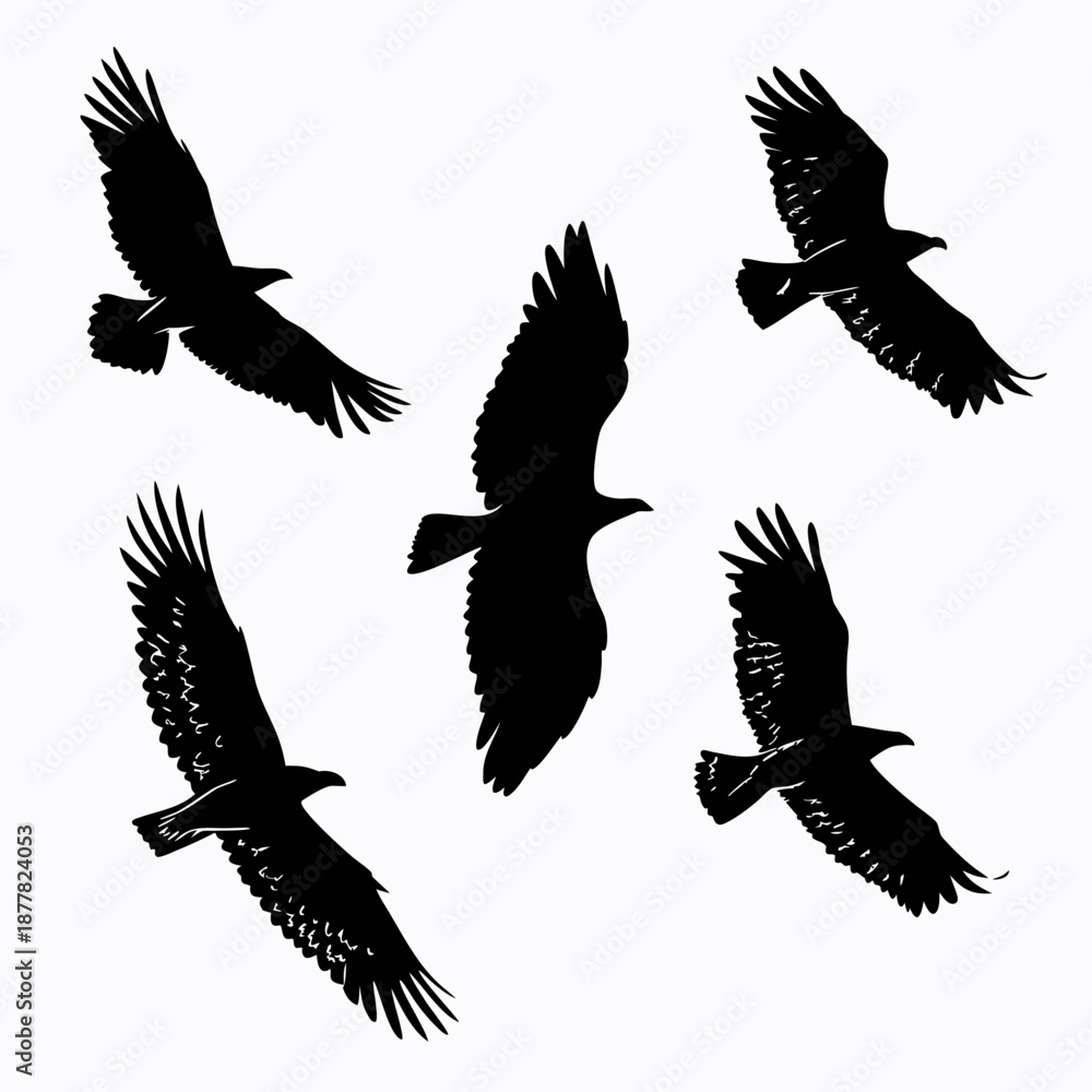 Obraz premium Flying birds silhouettes