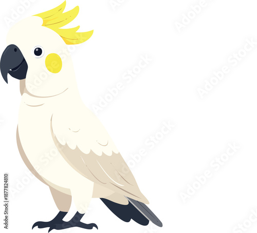 A cute cartoon macaw parrot vector illustration featuring colorful wings and a tropical beak isolated on a white background for wildlife nature design