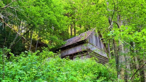 Abandoned wooden cabin in forest near Red Lake (Lacu Roșu), Romania