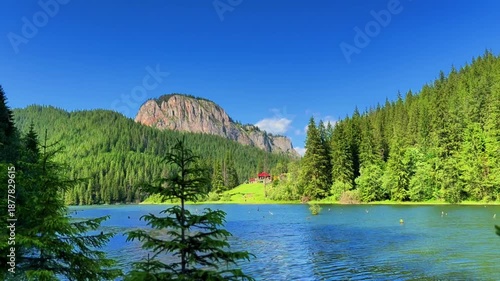 View of Red Lake, also known as Lacu Roșu, in Harghita County, Romania, showing calm water, submerged tree trunks and surrounding pine forests on a clear summer day.
