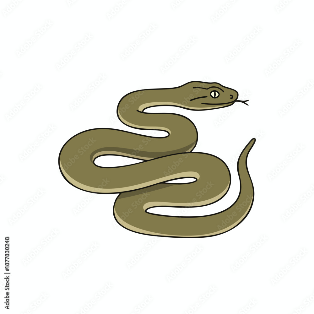 Fototapeta premium Coiled Snake Illustration