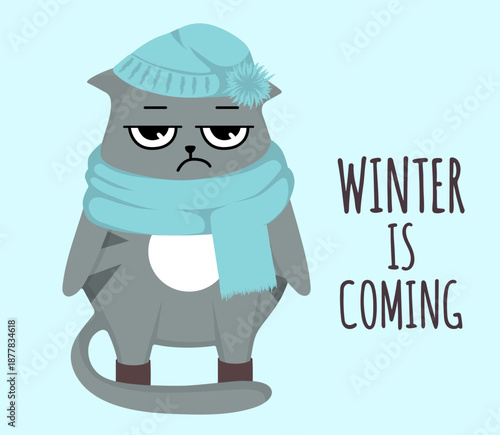 grumpy cat winter in scarf and hat winter is coming