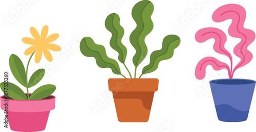 Potted, plants, vector, illustration, indoor, garden, decor, houseplant, set, colorful, modern, flat, design, botanical, art, minimal, isolated, background, nature, aesthetic