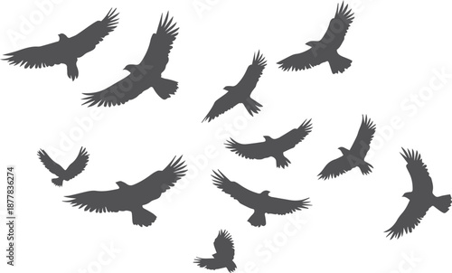 Flock of Flying Birds Silhouettes, Grey Eagle or Hawk Icons Isolated on White, Vector Wildlife Migration Illustration