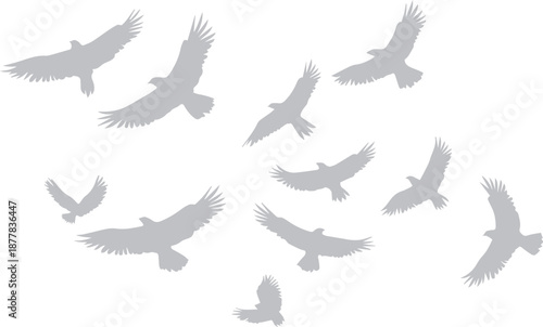Flock of Flying Birds Silhouettes, Grey Eagle or Hawk Icons Isolated on White, Vector Wildlife Migration Illustration