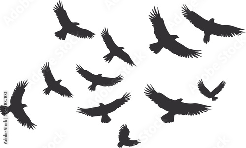 Flock of Flying Birds Silhouettes, Black Eagle or Hawk Icons Isolated on White, Vector Wildlife Illustration