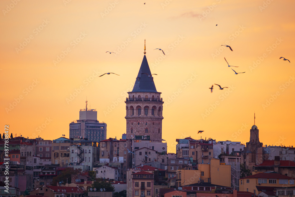 Obraz premium The Galata Tower and seagulls at dawn. Magnificent cityscape of Istanbul in the morning.