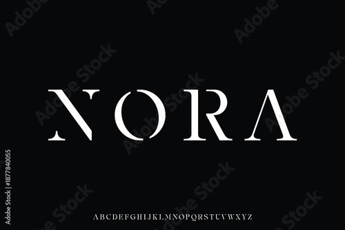 Elegant luxury alphabet display font vector illustration for logo design