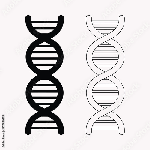 Two D N A Helix Structures in Black and Gray