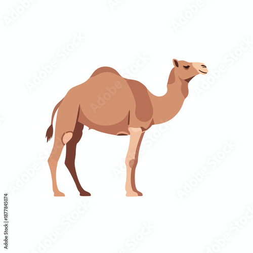 Illustration of a camel standing alone