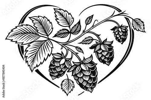  Black and white illustration, heart-shaped composition, detailed hop cones, intricate botanical drawing, beer ingredient art, clustered hops, vine leaves, realistic texture, vintage engraving style