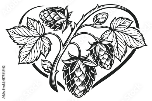  Black and white illustration, heart-shaped composition, detailed hop cones, intricate botanical drawing, beer ingredient art, clustered hops, vine leaves, realistic texture, vintage engraving style