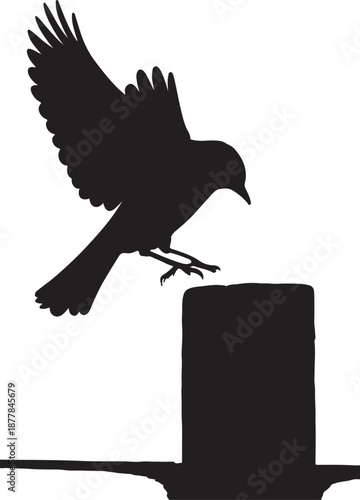 A silhouetted bird perches delicately upon the brim of a top hat